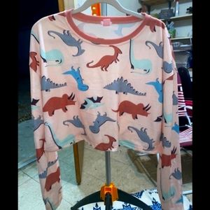 4/$15 Dinosaur Top